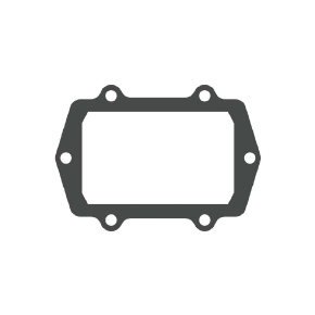 MotoTassinari Joint de remplacement VForce