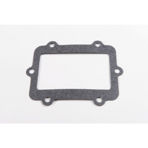 MotoTassinari Joint de remplacement VForce