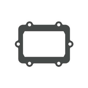 MotoTassinari Joint de remplacement VForce