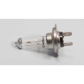 Kimpex Ampoule halogène -Type H7